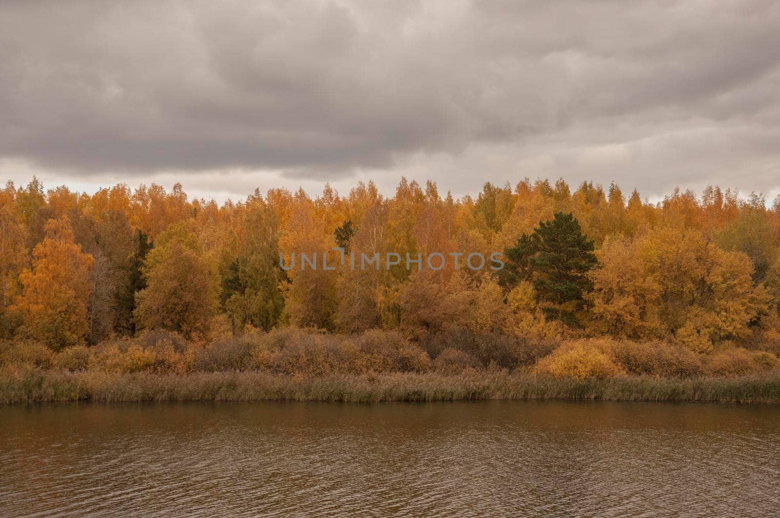 Autumn ladscape. Park with lake by inxti