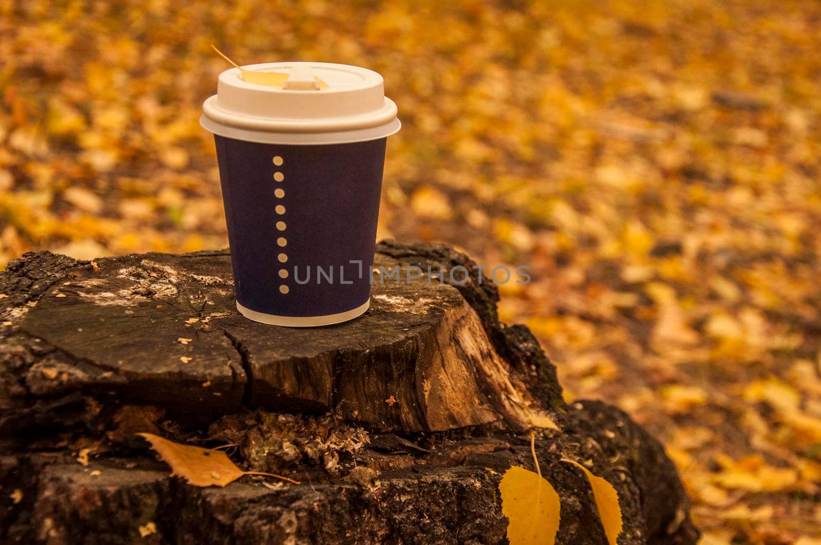 Disposable coffee or tea mug on a old stump in the autumn park. Warm up with aromatic coffee.