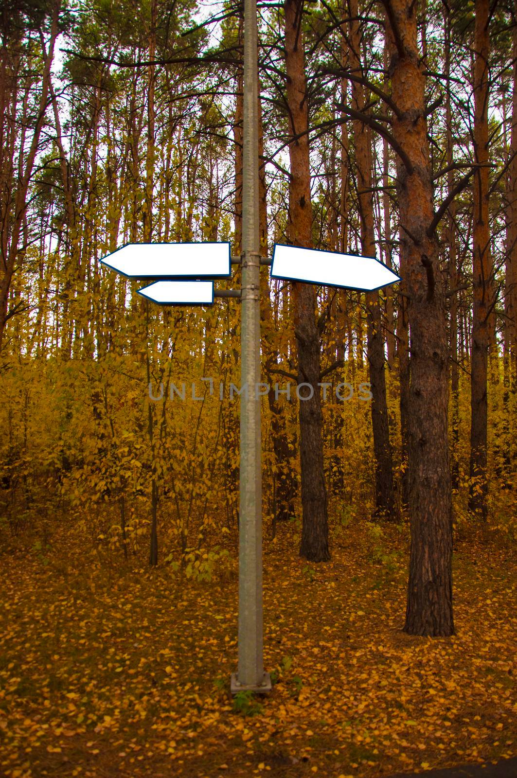 empty signs in the autumn park. space for text by inxti