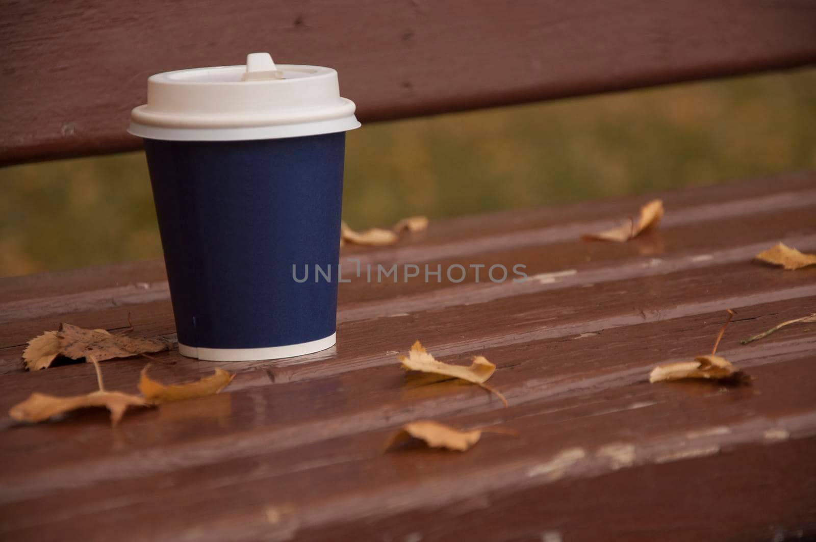 Walk with a cup of hot coffee in the autumn park. Craft cup of coffee on the road with yellow fallen leaves. by inxti