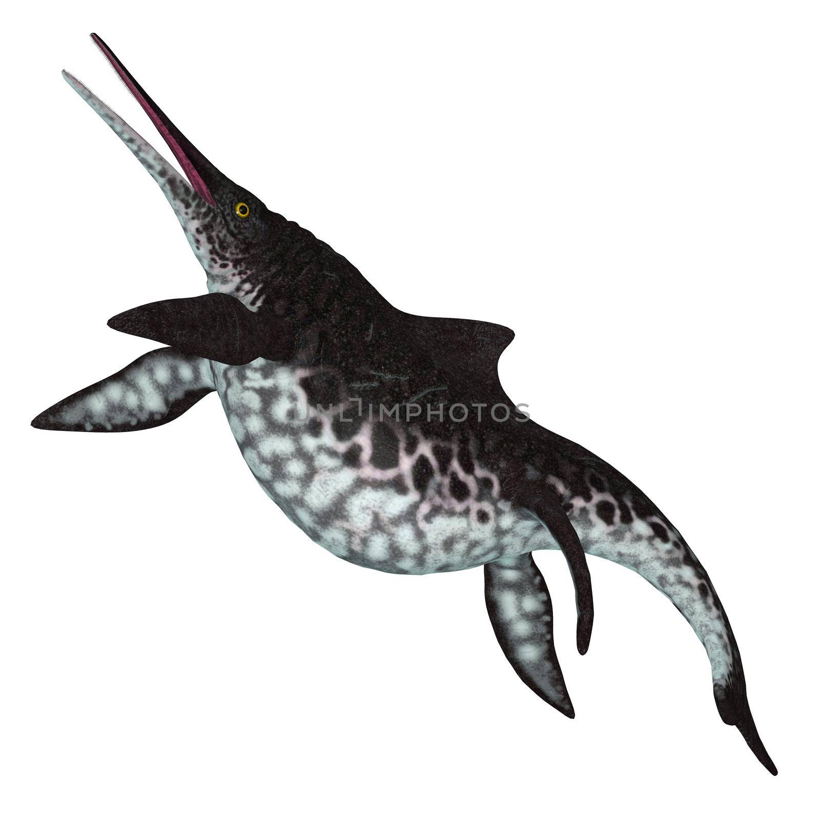 Shonisaurus Ichthyosaur Left Side by Catmando