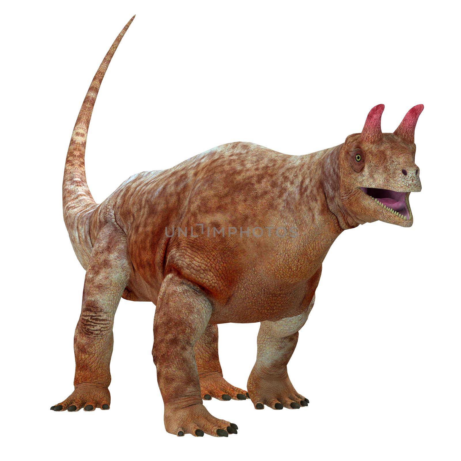 Shringasaurus Archosaur over White by Catmando