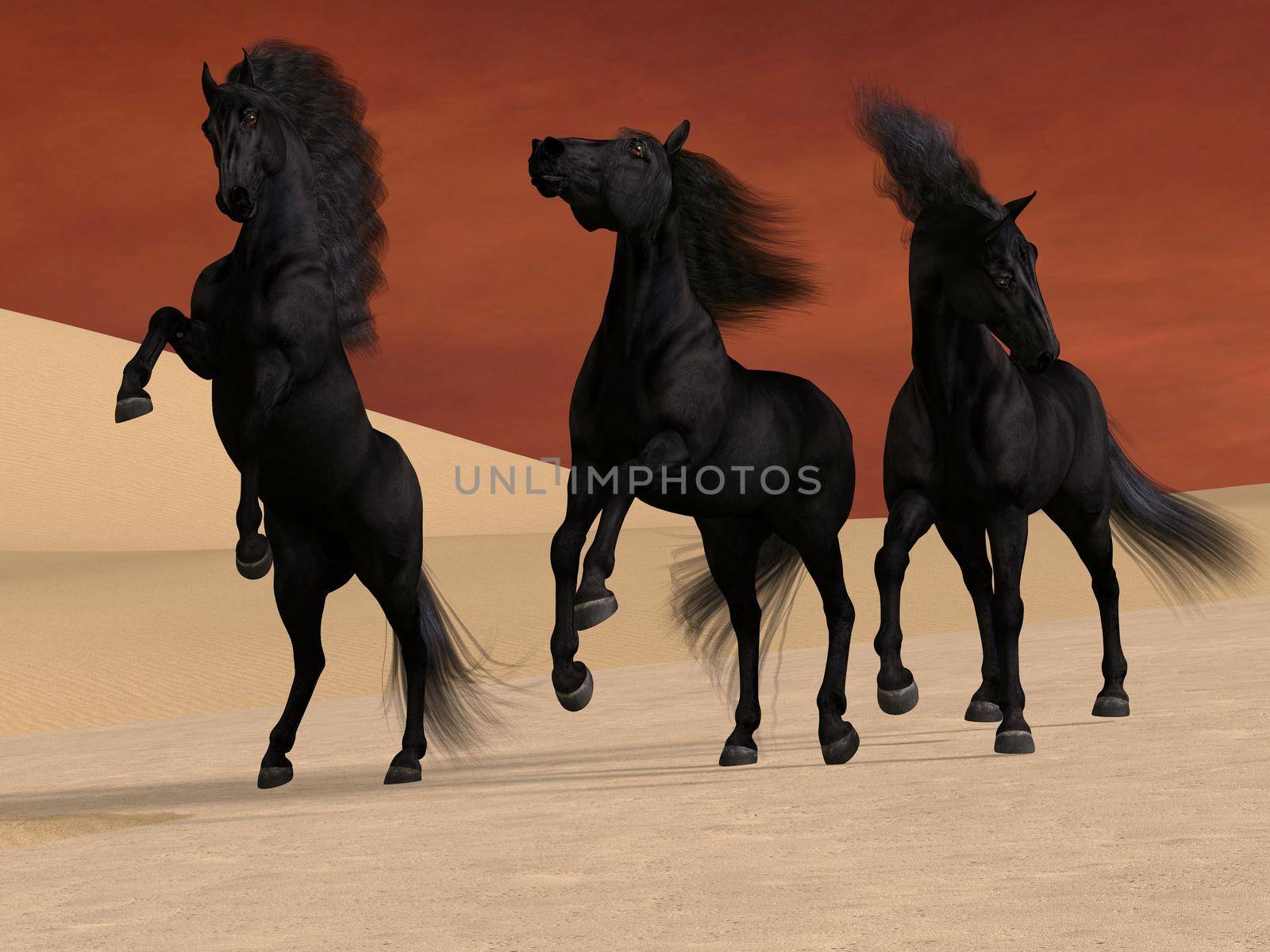 Three Black Horses by Catmando