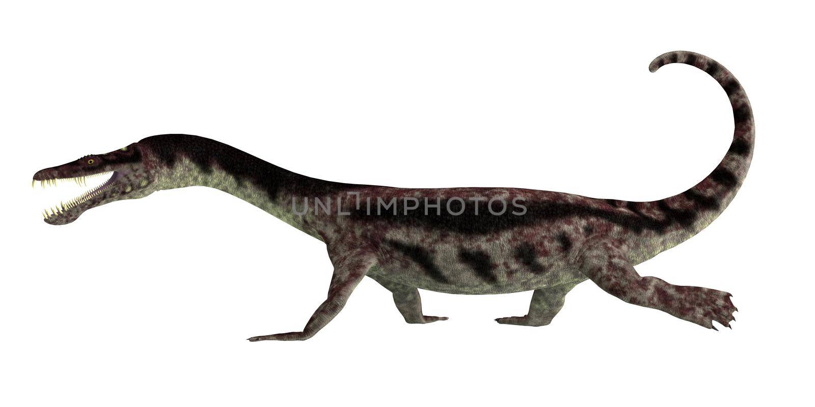 Nothosaurus Reptile Walking by Catmando