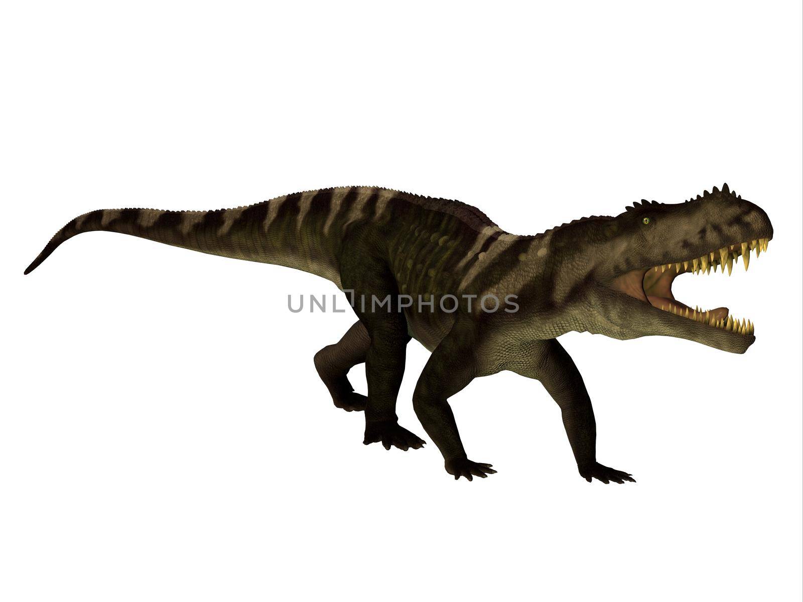 Prestosuchus was a carnivorous archosaur predator that lived in the Triassic Period of Brazil.