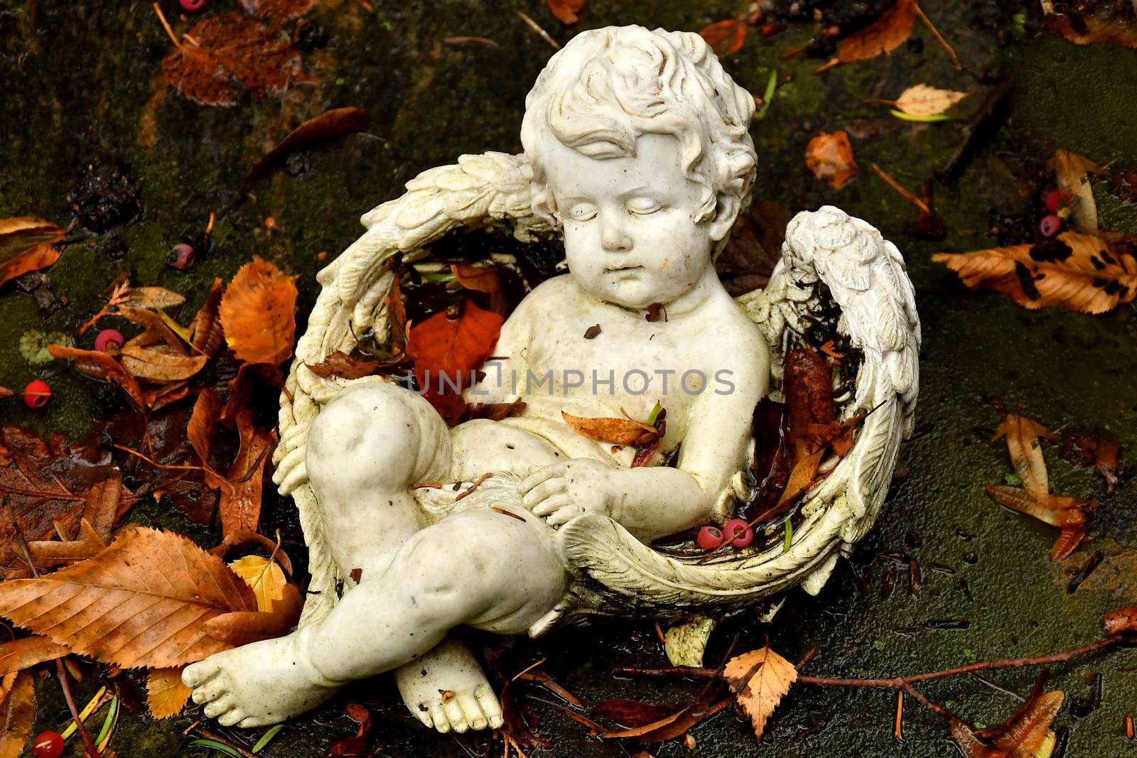 sweet angel figure on a grave in autumn with fallen leaves