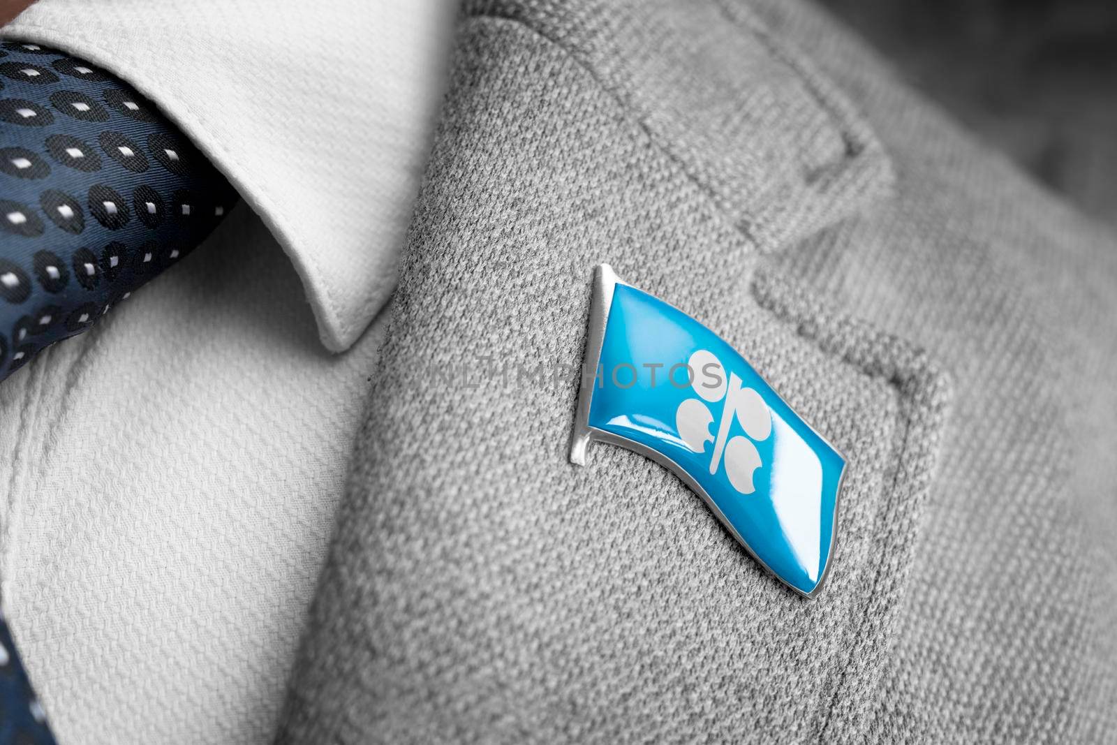 Metal badge with the flag of Organization of the Petroleum Exporting Countries on a suit lapel.