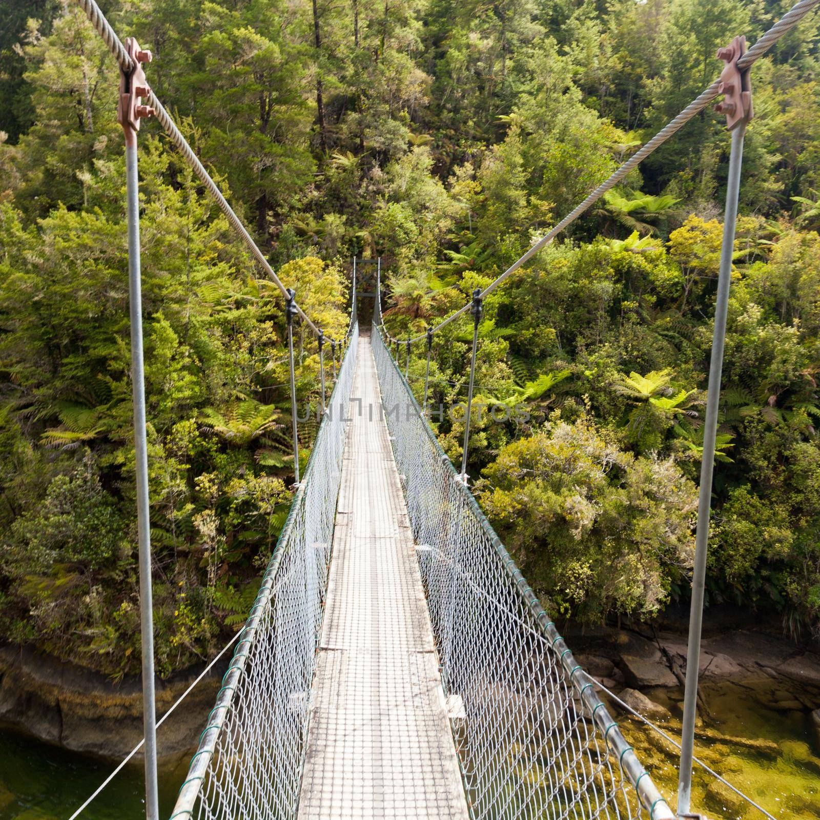 Swing bridge over green jungle river New Zealand by PiLens