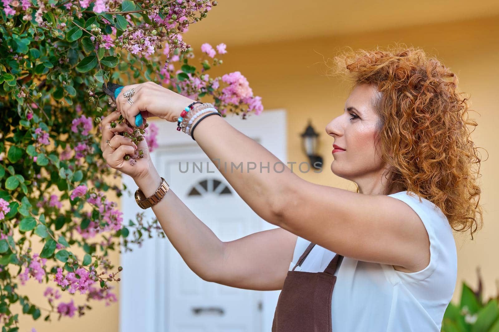 Woman in garden with pruner caring for flowering bush. Beautiful middle-aged female in apron with garden shears, gardening, floristics, hobbies and leisure, natural beauty