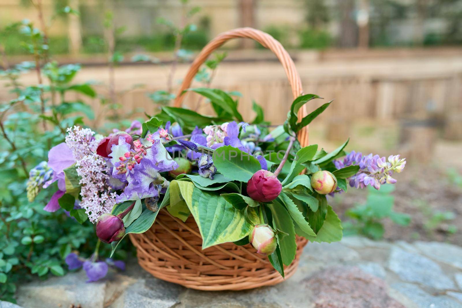 Basket with fresh spring cut flowers in the garden by VH-studio