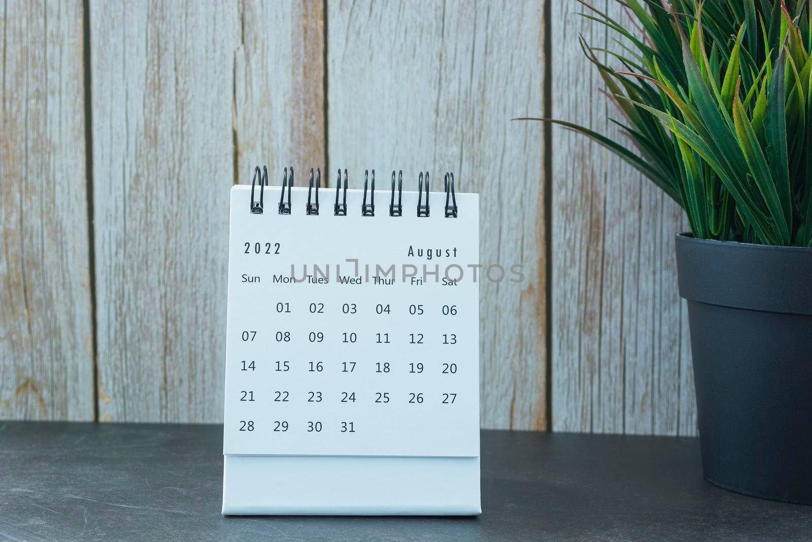 White August 2022 calendar with potted plant. 2022 New Year Concept