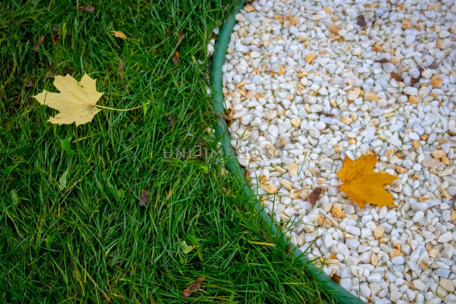 Paving stones covered with leaves and grass. Happy, golden autumn by lapushka62