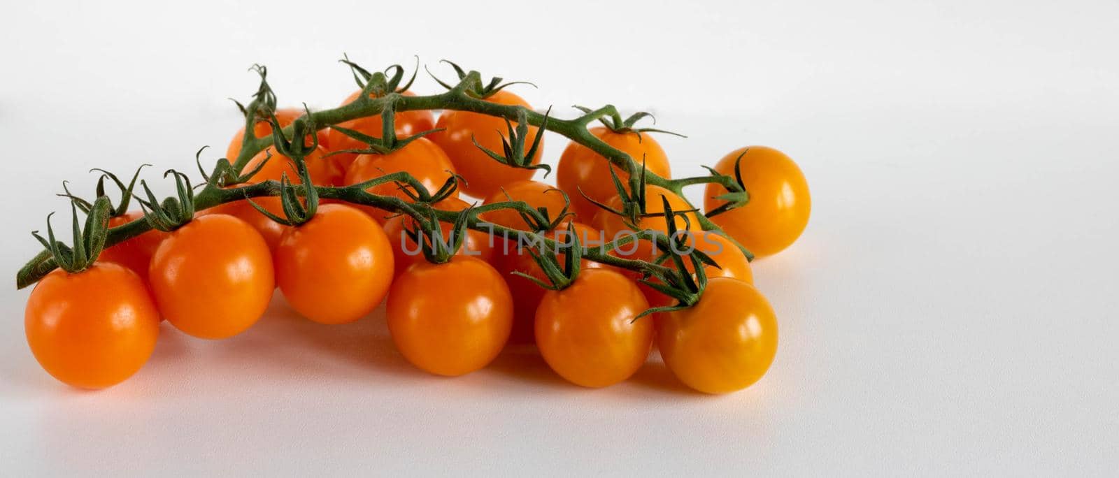Ripe fresh orange Cherry tomatoes on a branch, isolated on a white background. Place for text.