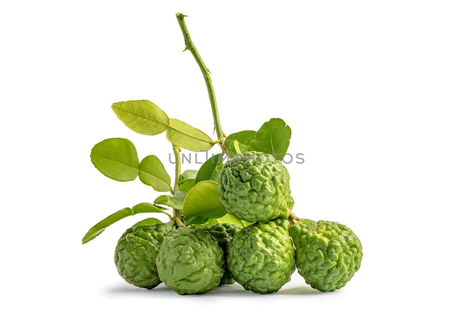 Fresh bergamot fruit or kaffir lime with cut in half on wooden background.