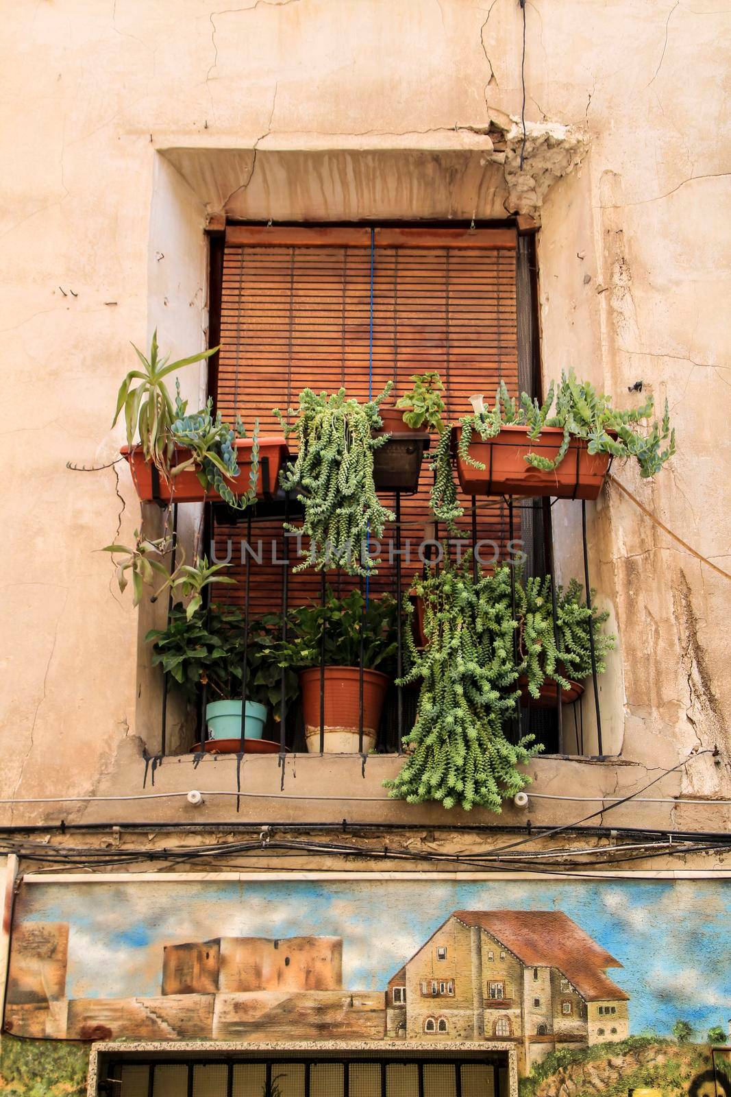 Novelda, Alicante, Spain- September 18, 2021: House facade with rusty balcony with a lot of pots and wooden blind in Novelda, Spain