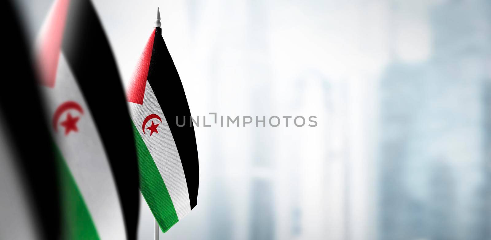 Small flags of Sahrawi on a blurry background of the city.