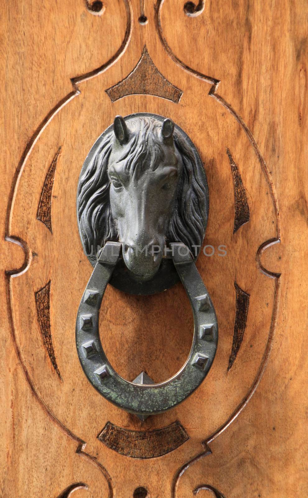 Vintage door knocker horse shaped on wooden door by soniabonet