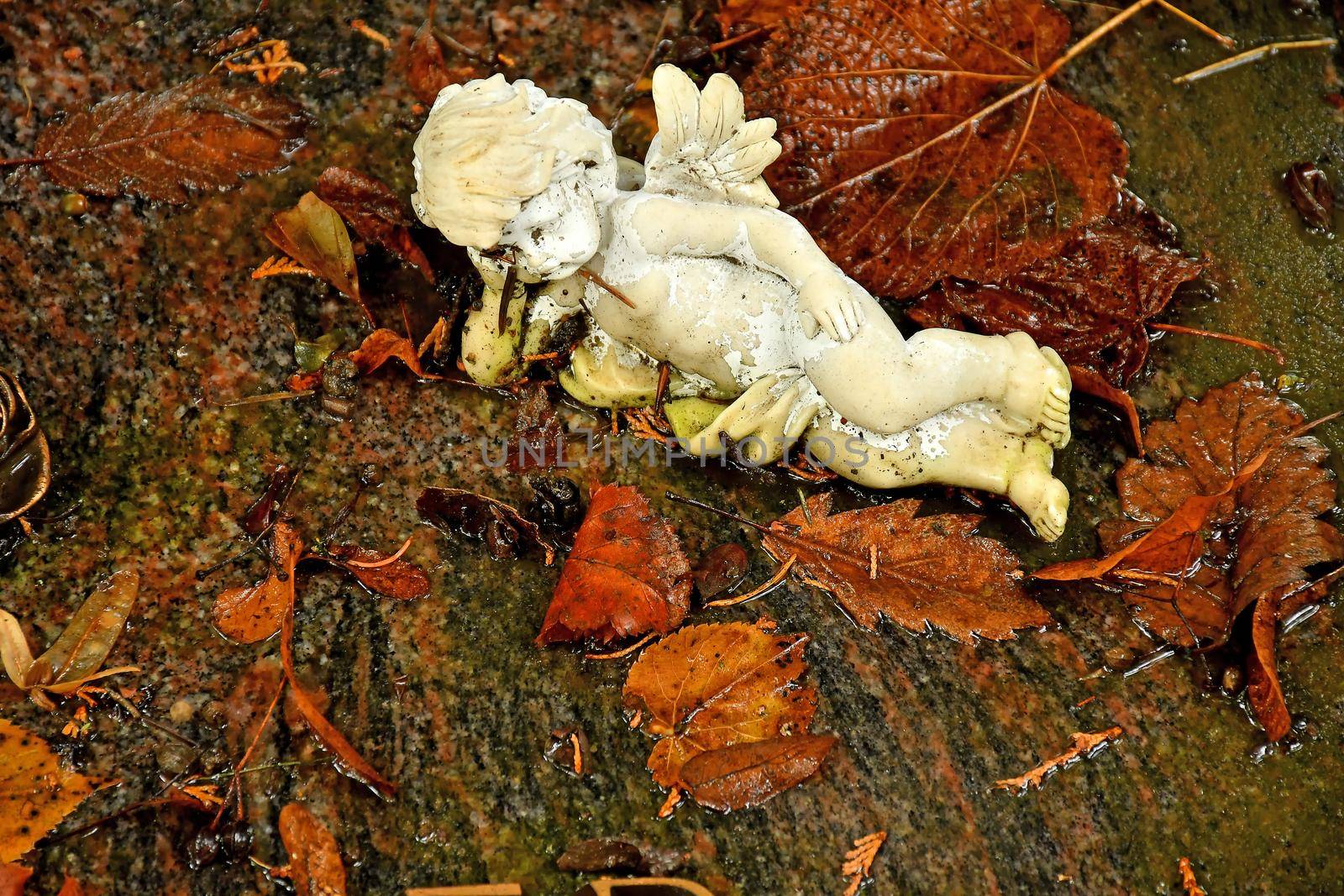 sweet angel figure on a grave in autumn with fallen leaves