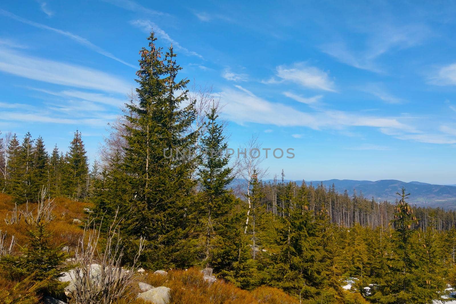 Picturesque view in the mountains on a sunny autumn day. by kip02kas