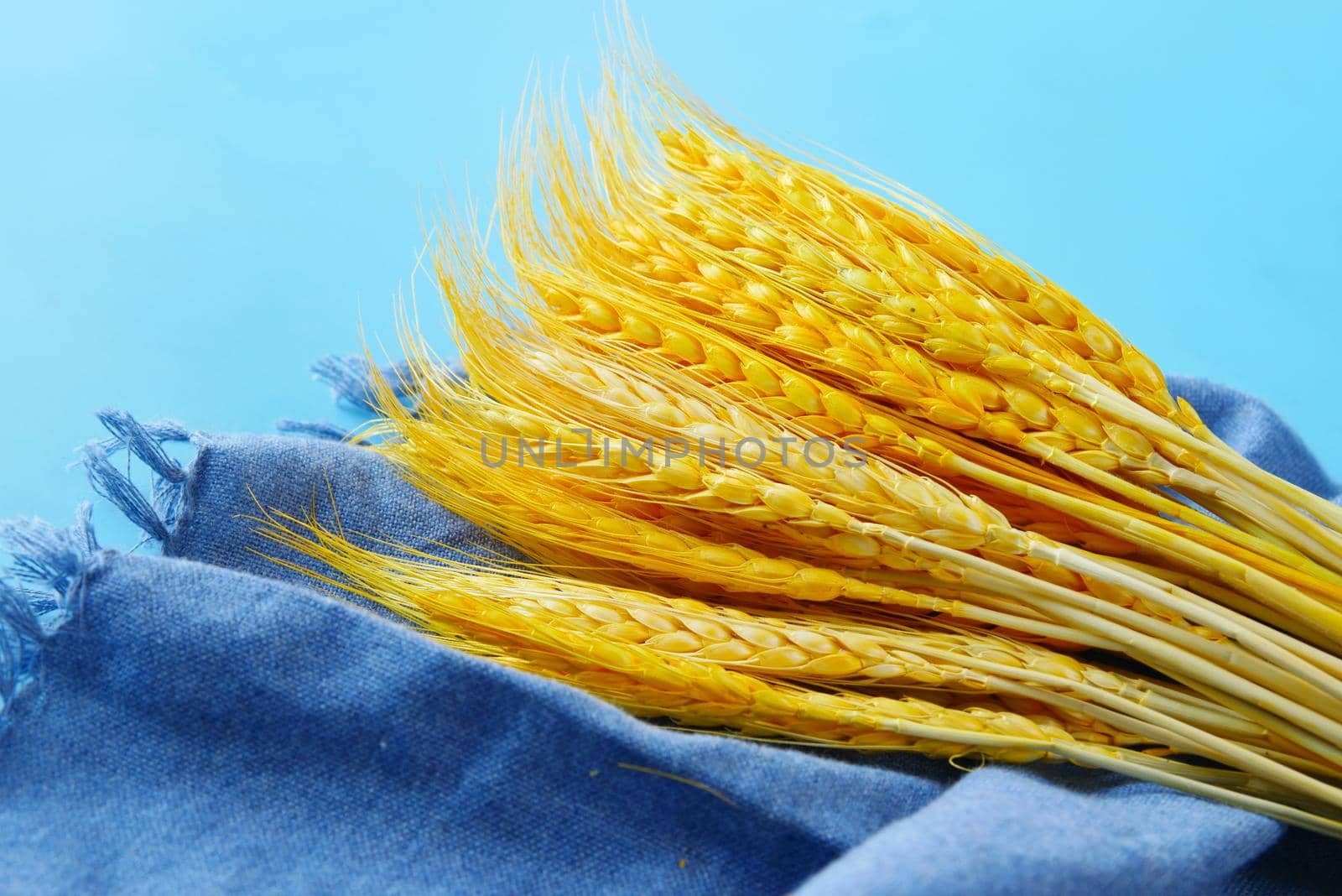 detail shot of wheat spikelets on table by towfiq007