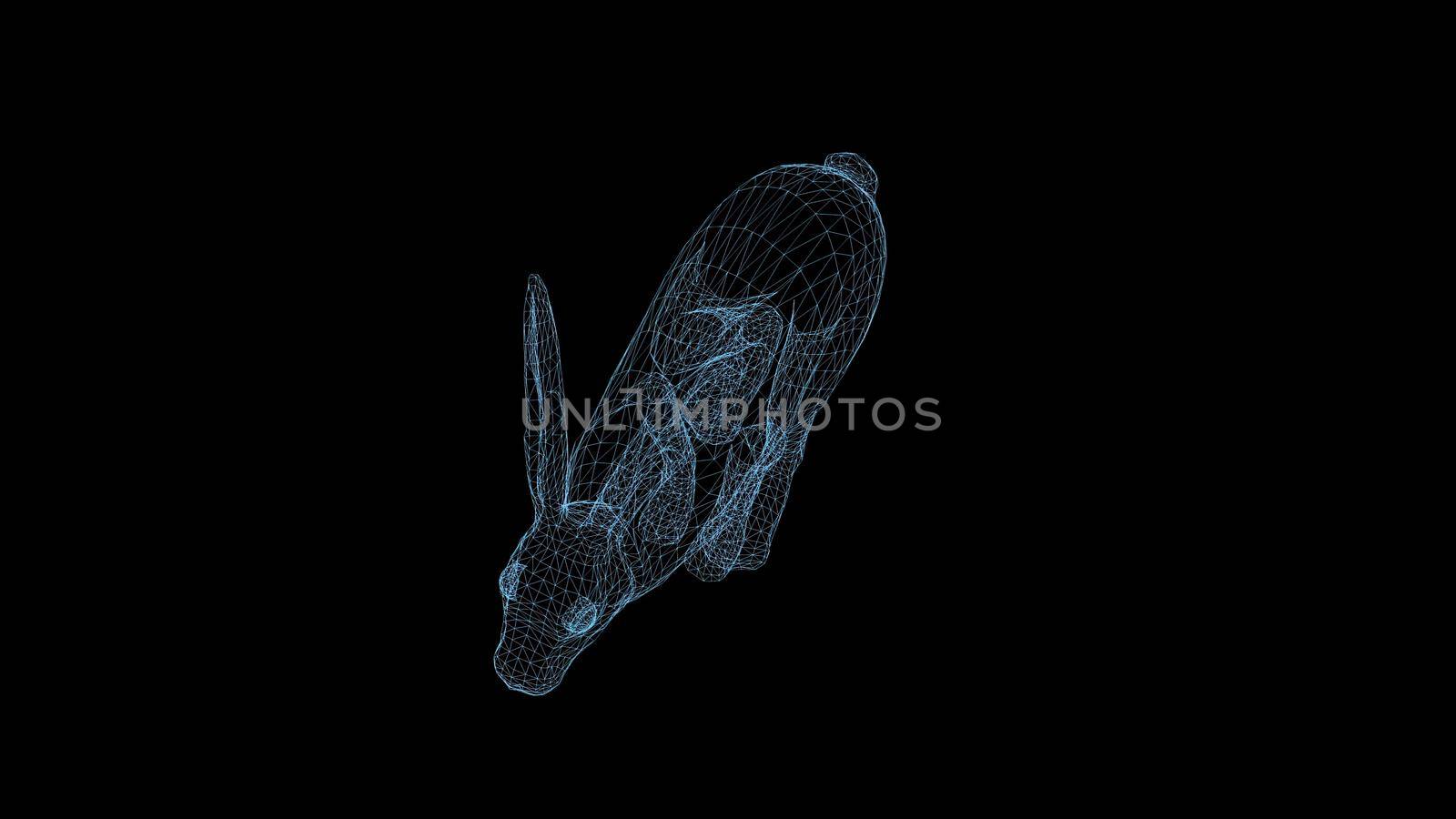 wire frame 3d illustration of rabbit running on black background by vitanovski