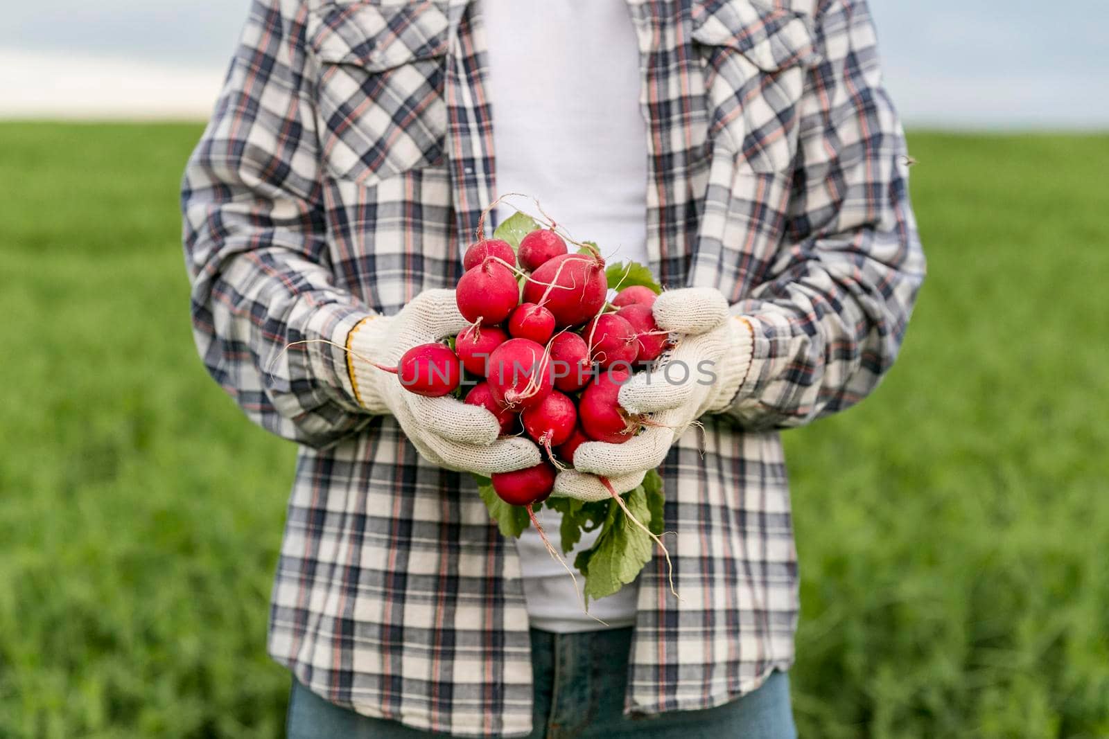 close up man with radish by Zahard