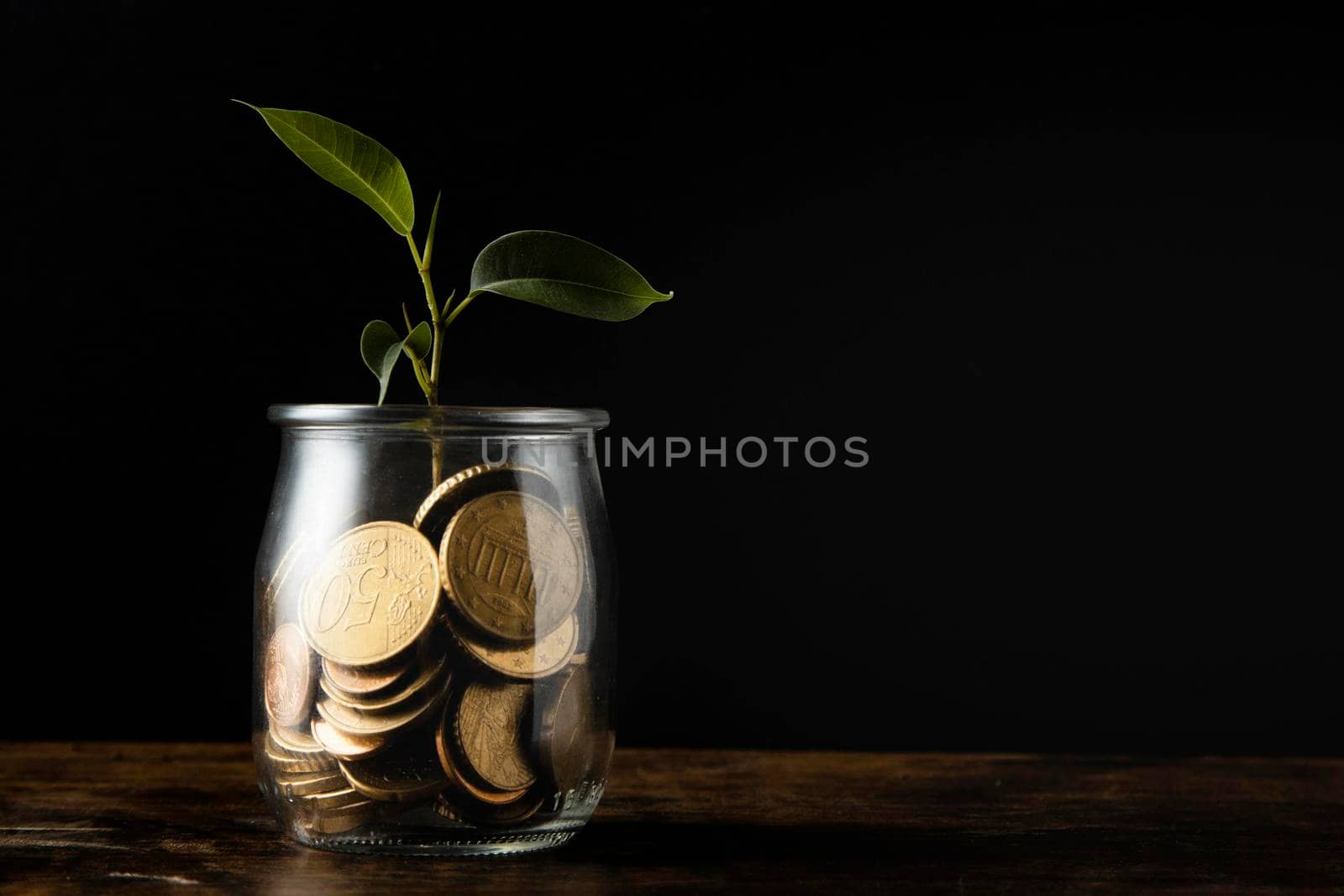 front view plant growing from jar with coins copy space. High resolution photo