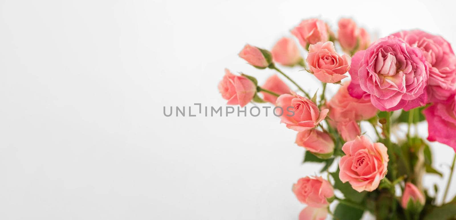 vase with roses table copy space. Beautiful photo