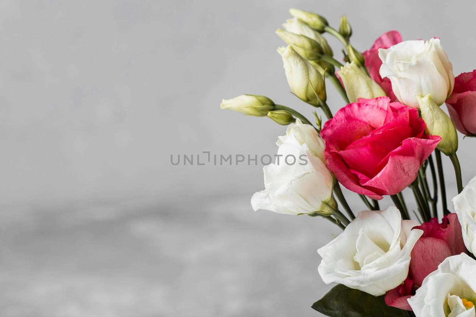 bouquet roses close up with copy space. High resolution photo