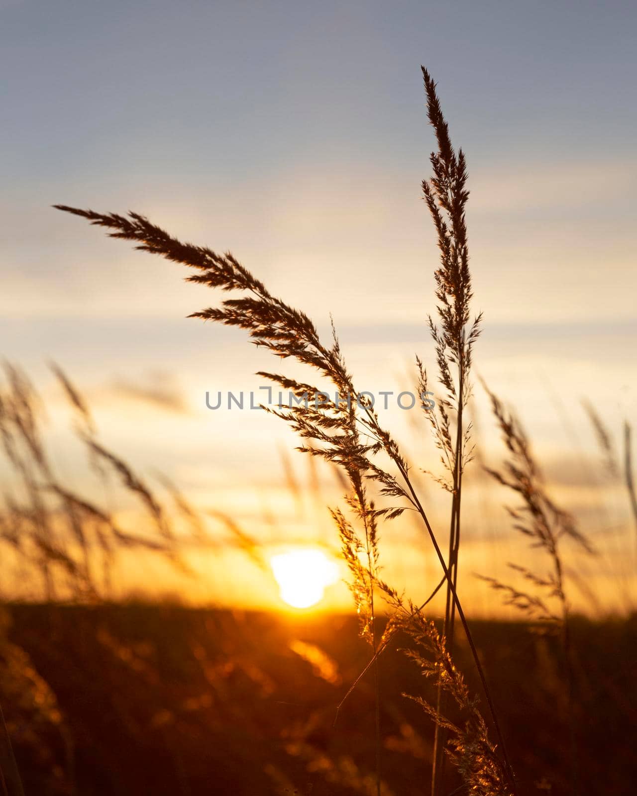 inspiring view morning light. High quality photo by Zahard