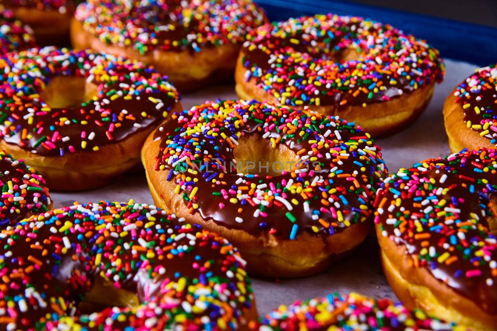 Image of Tray full of fresh baked yeast donuts with chocolate and colorful sprinkles