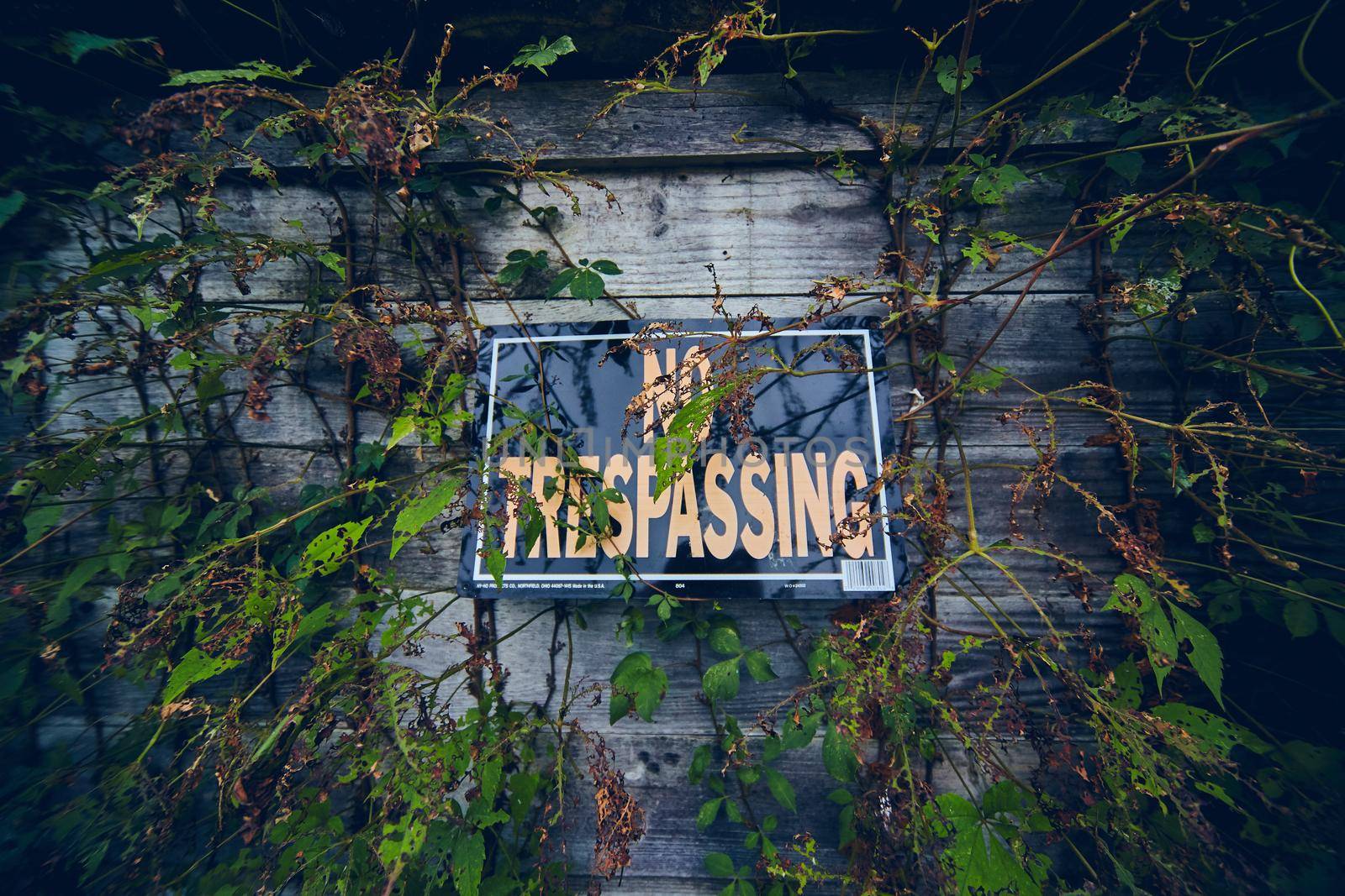 Image of No trespassing sign up close with vignette and wood panels covered in vines