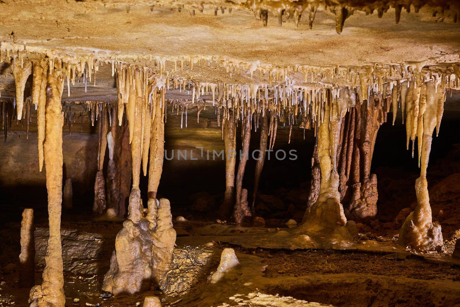 Image of Low cave tunnel with formations of stalagmites and stalactites