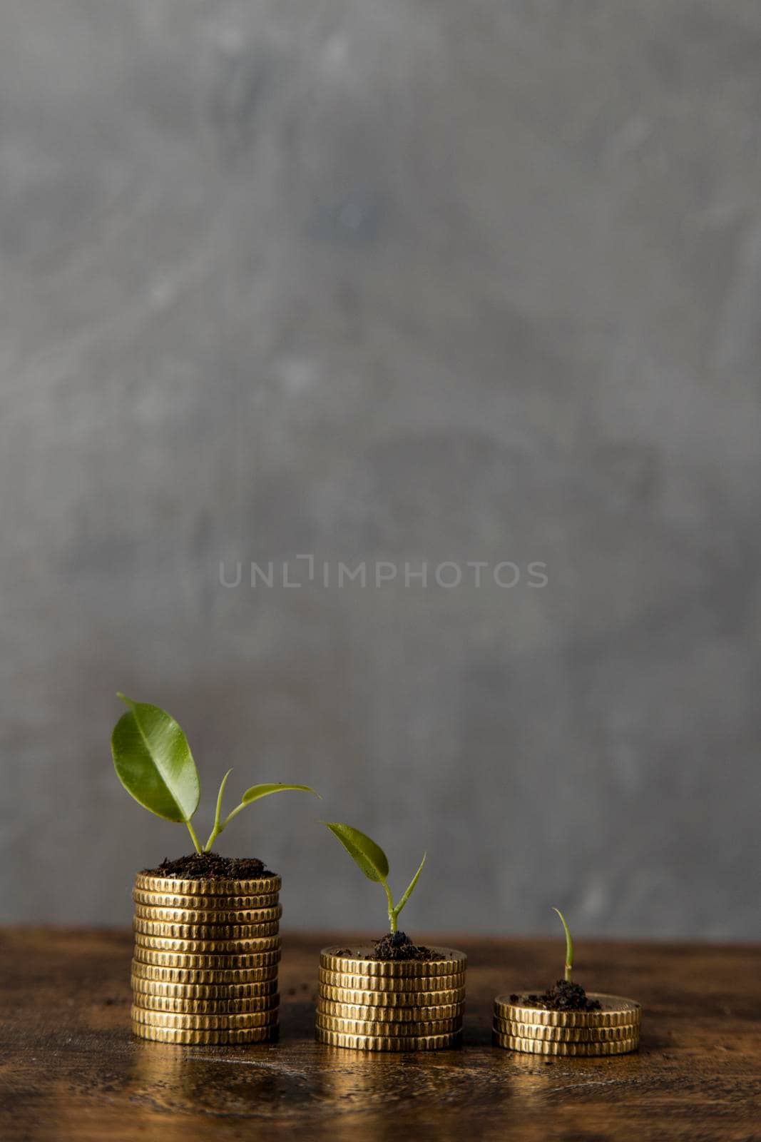 front view three stacks coins with plants copy space by Zahard