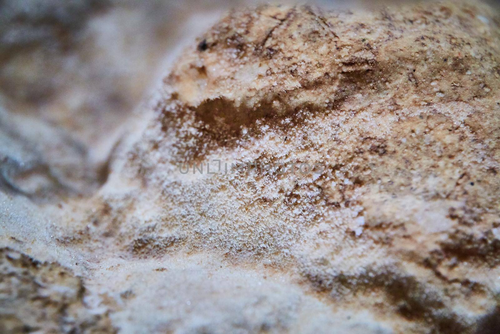 Image of Macro detail of cave ceiling covered in tiny white crystals