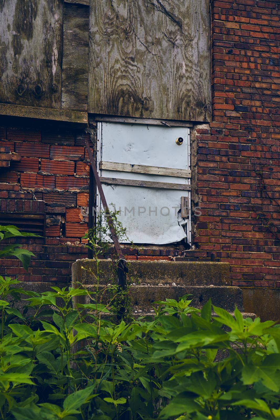 Image of Green plants around abandoned building with barricaded white door and red bricks