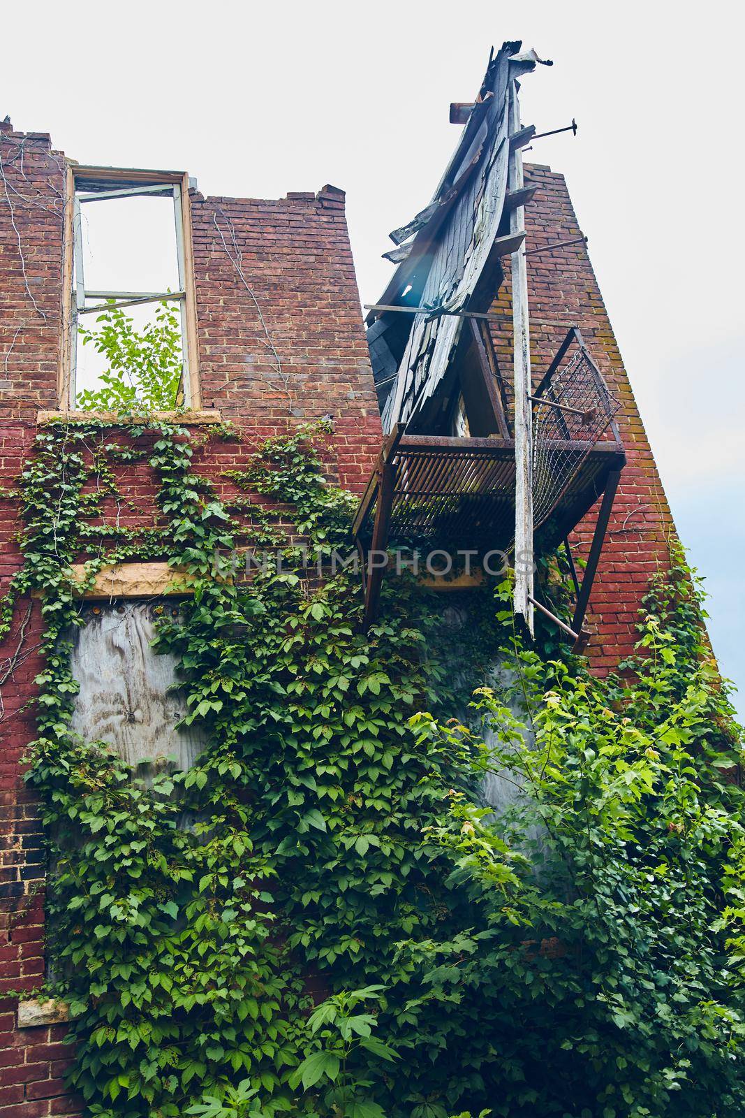 Vertical of abandoned red brick building falling apart and covered in vines by njproductions