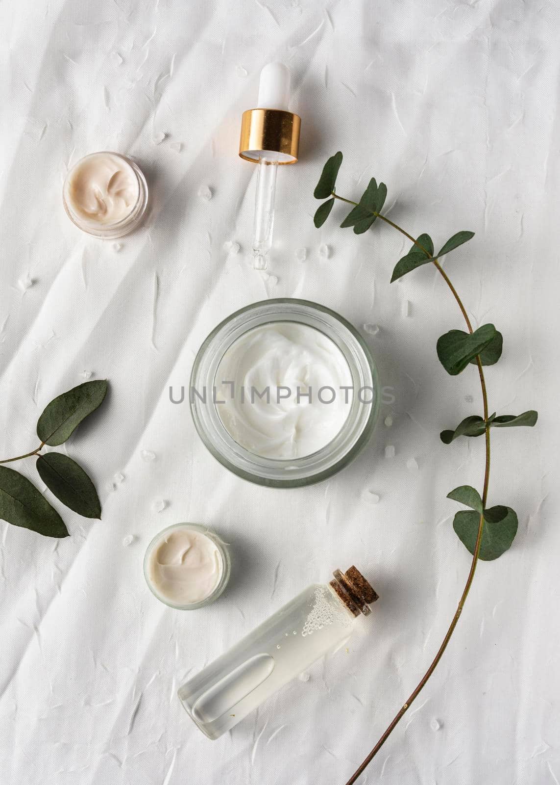 top view cream container with plant. High quality photo by Zahard