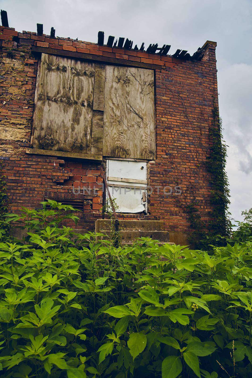 Image of Abandoned orange brick building falling apart with vines and surrounded by green bushes