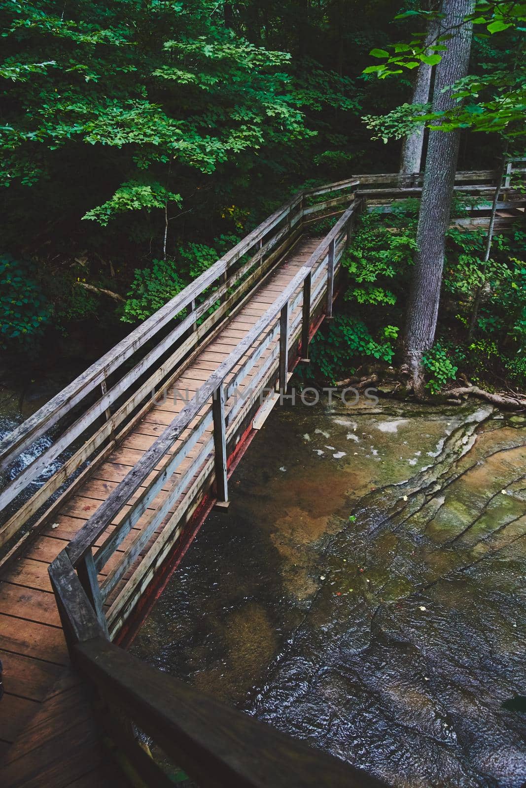 Image of Walking bridge in forest over shallow river with large sheets of rock