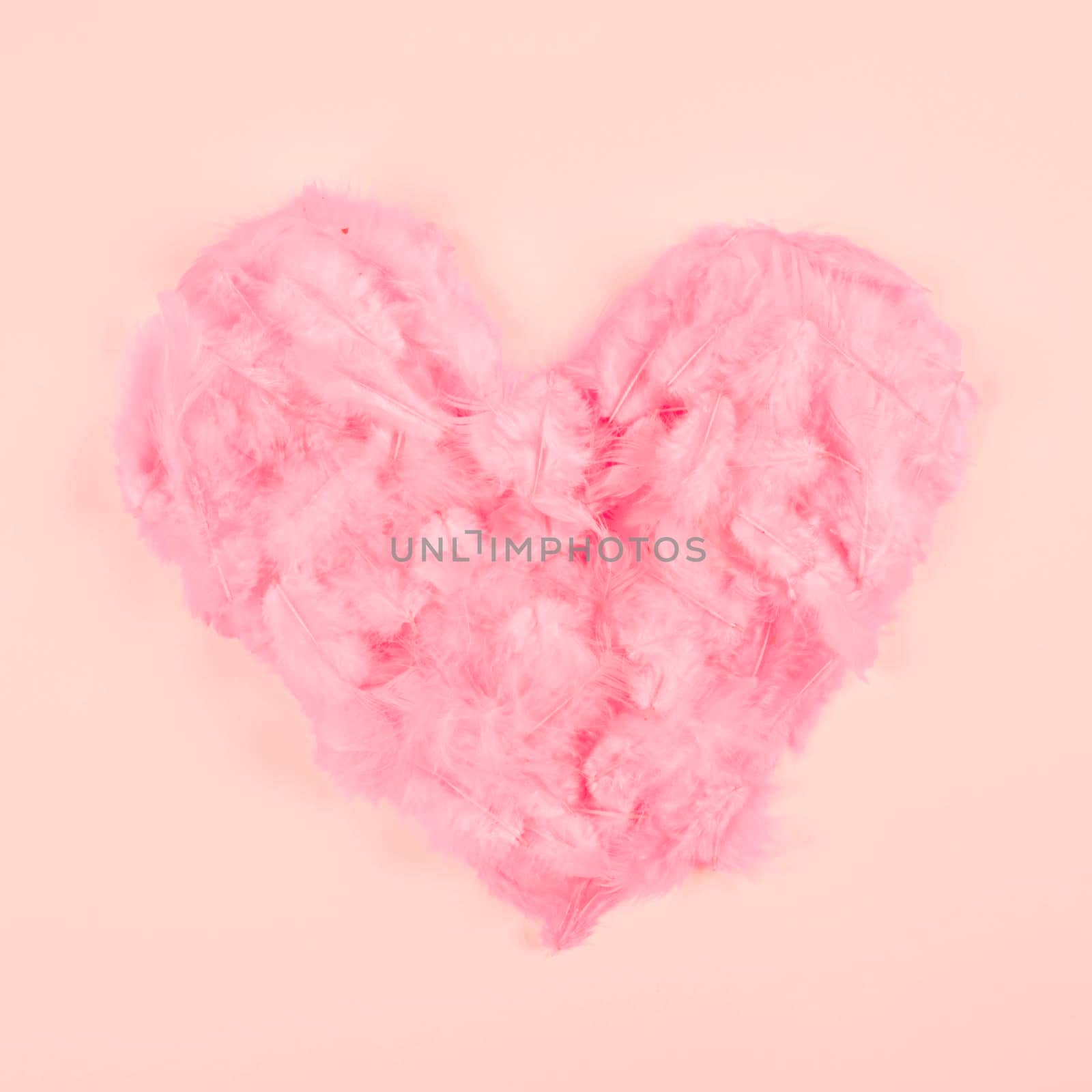 pink soft feather heart shape peach colored background. Beautiful photo