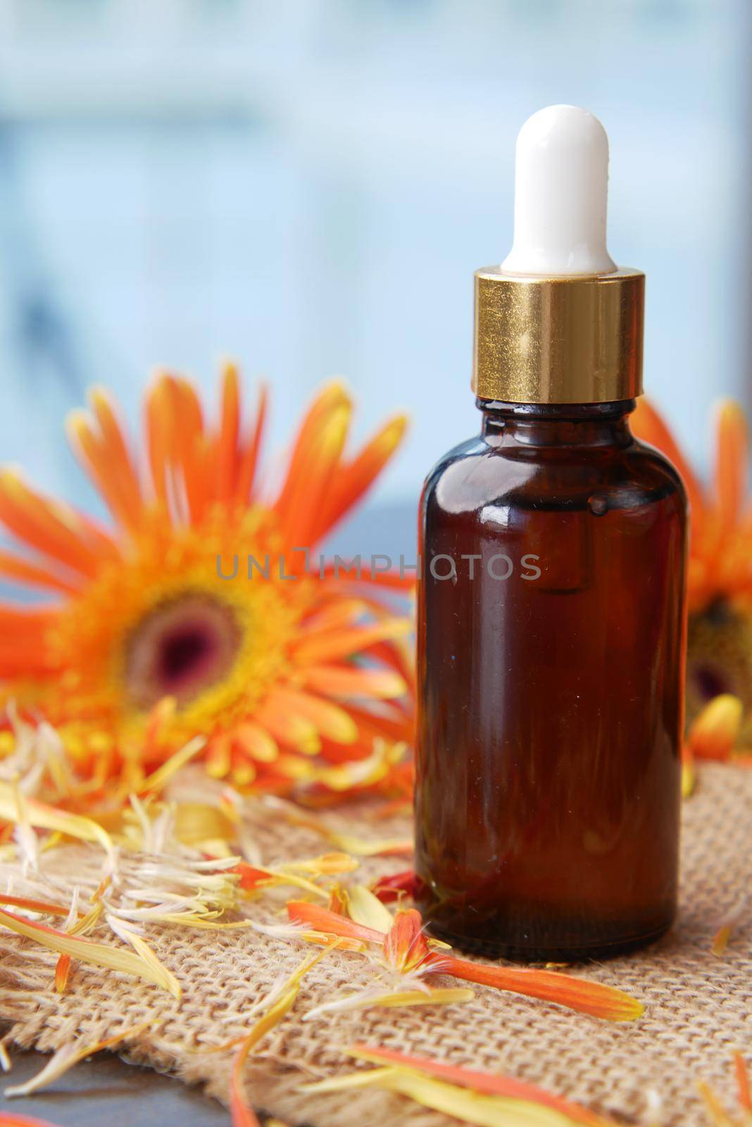 eucalyptus essential oils in a glass bottle and flower on table by towfiq007