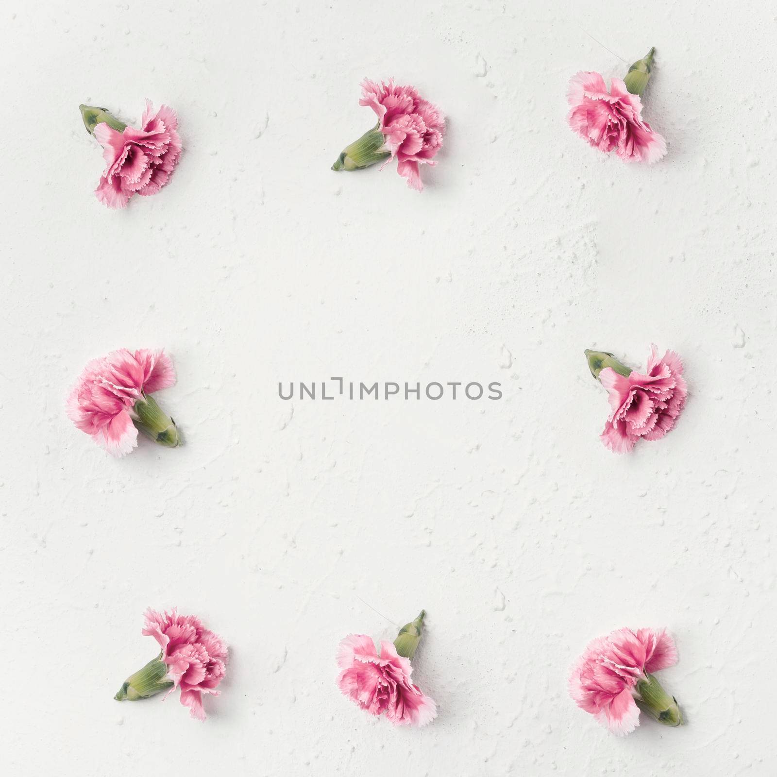 top view carnation flowers with copy space. High quality photo by Zahard