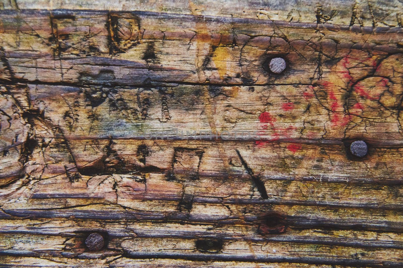 Image of Texture of old wood plant up close with people;s initials carved into it