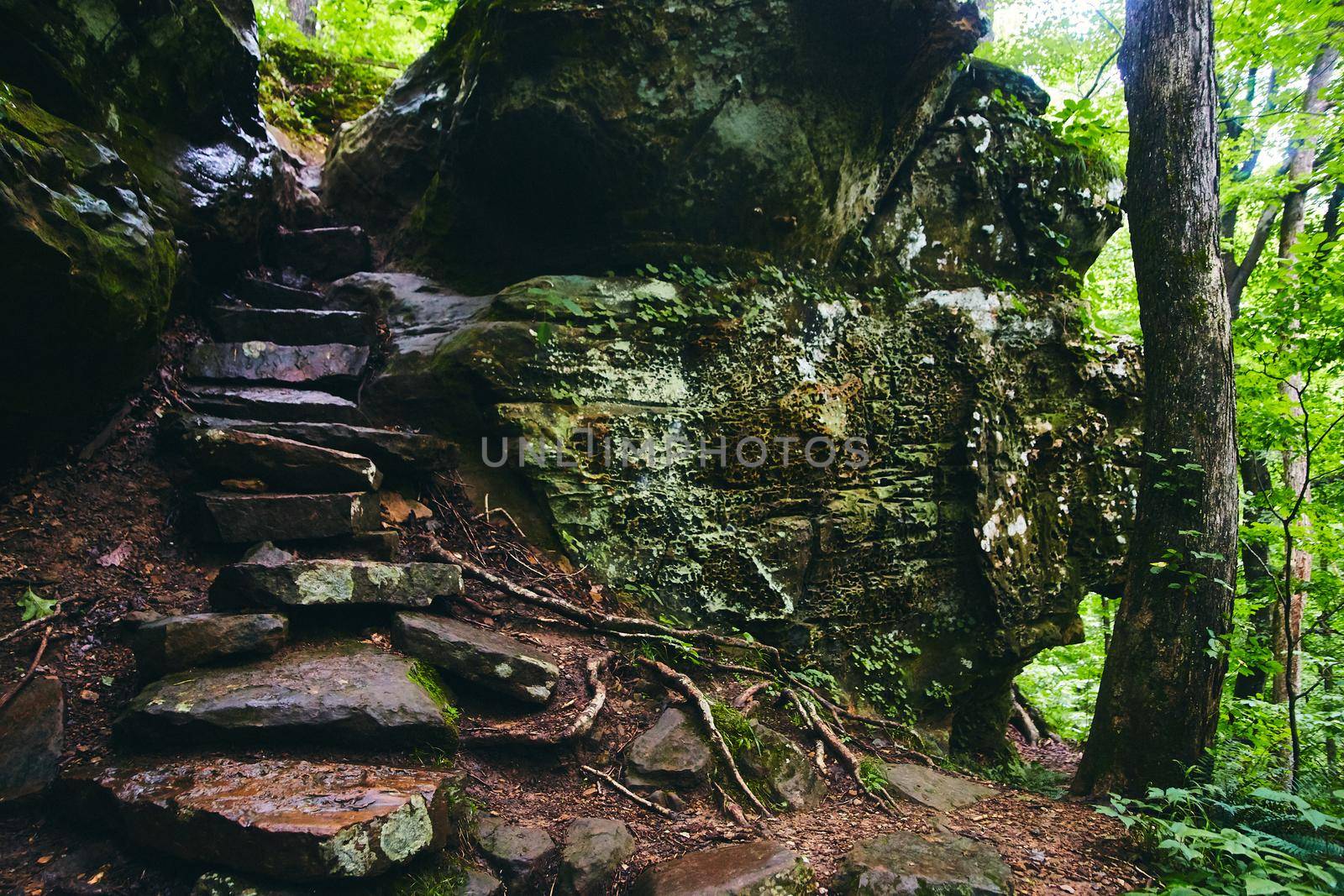 Image of Hiking trail of stone steps up into rocks covered in lichen