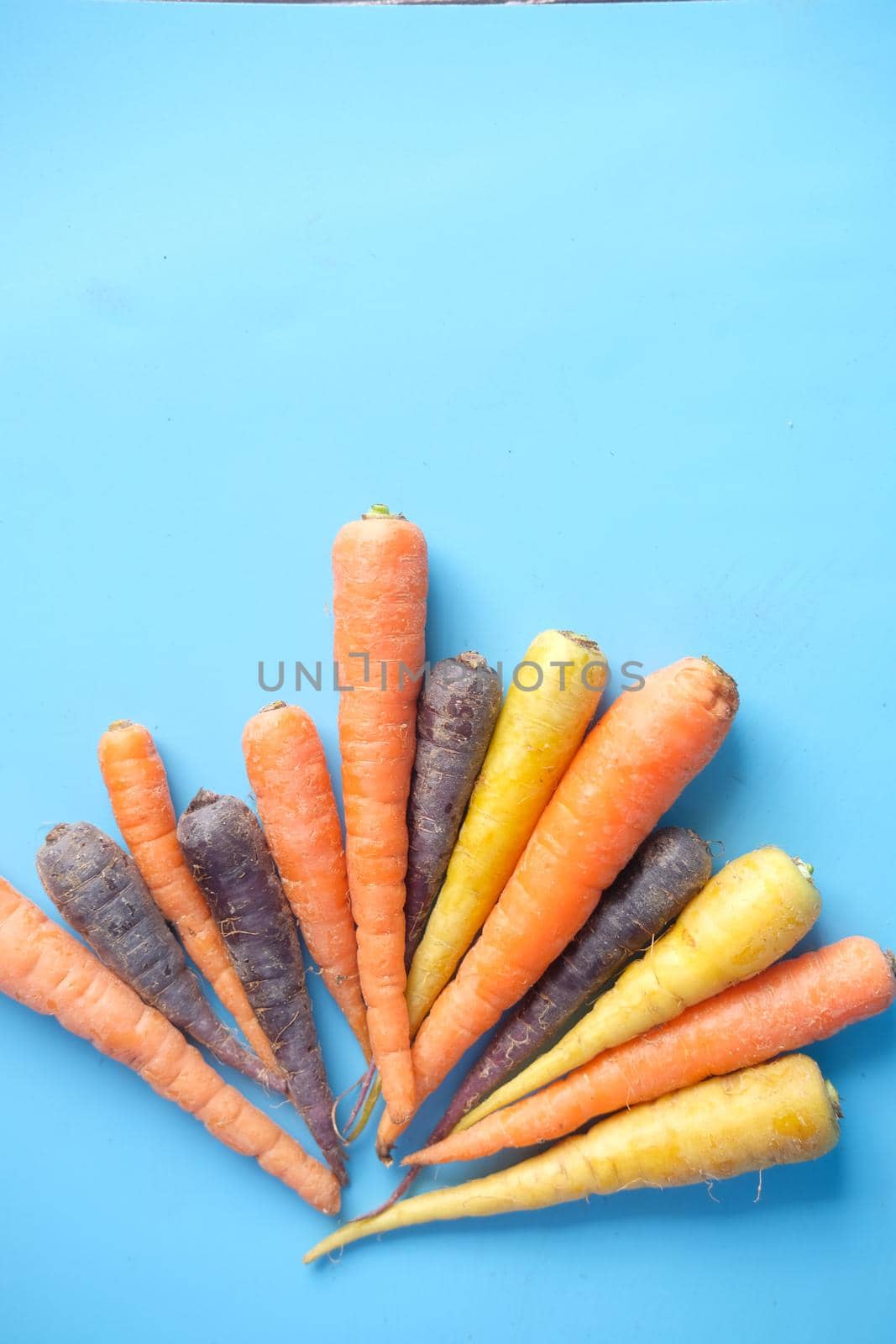 mixed colorful carrot on blue background by towfiq007