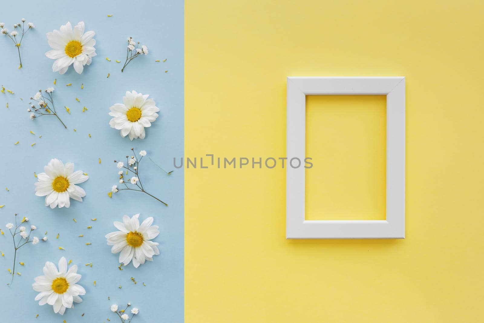 flowers petal pollen with white blank picture frame dual backdrop 2. Resolution and high quality beautiful photo