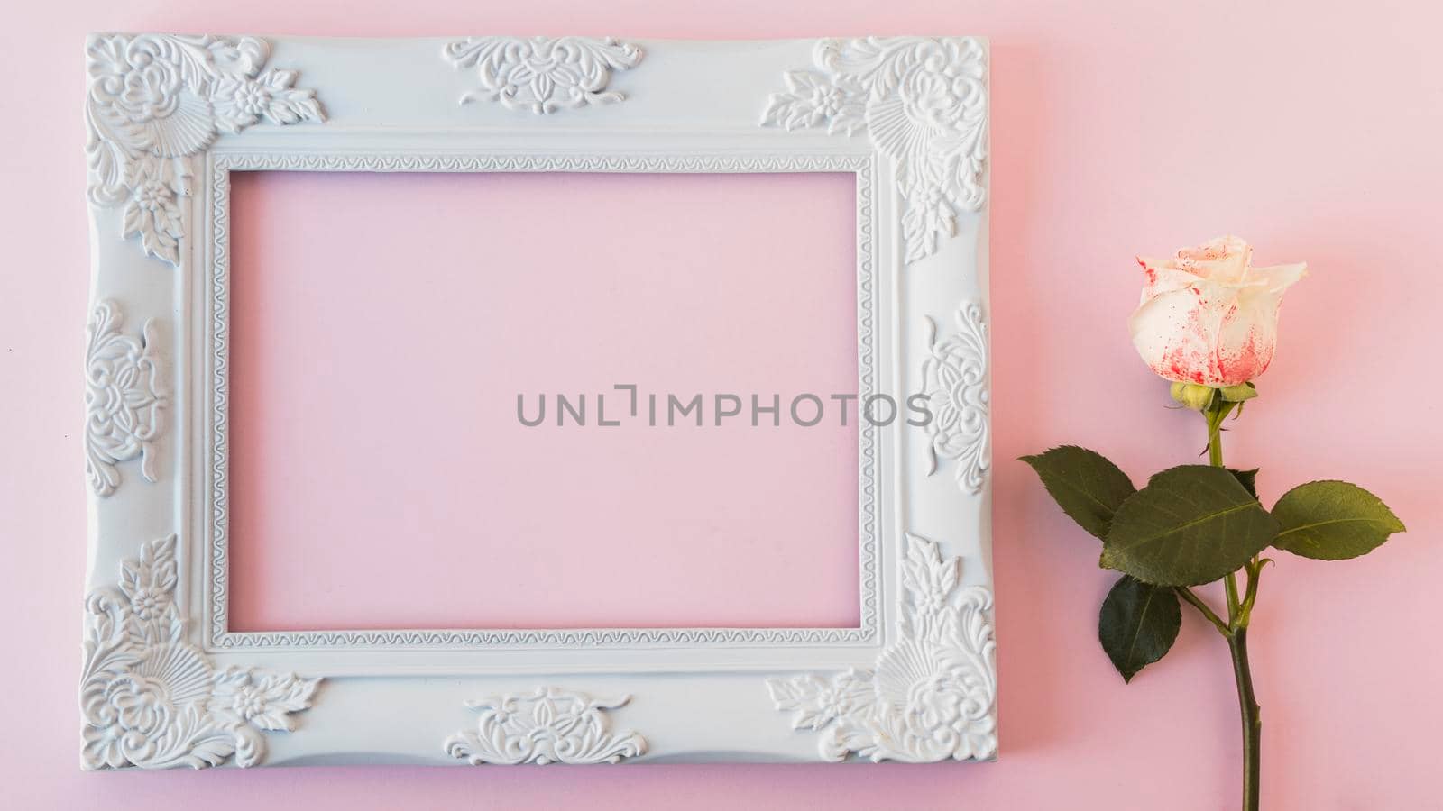 white vintage frame fresh bloom. Beautiful photo