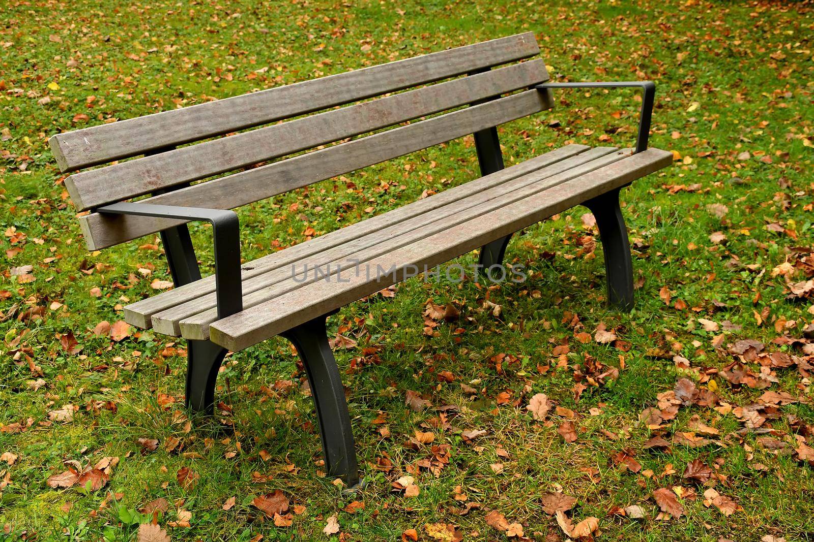 park bench in autumnal sun with fallen leaves by Jochen