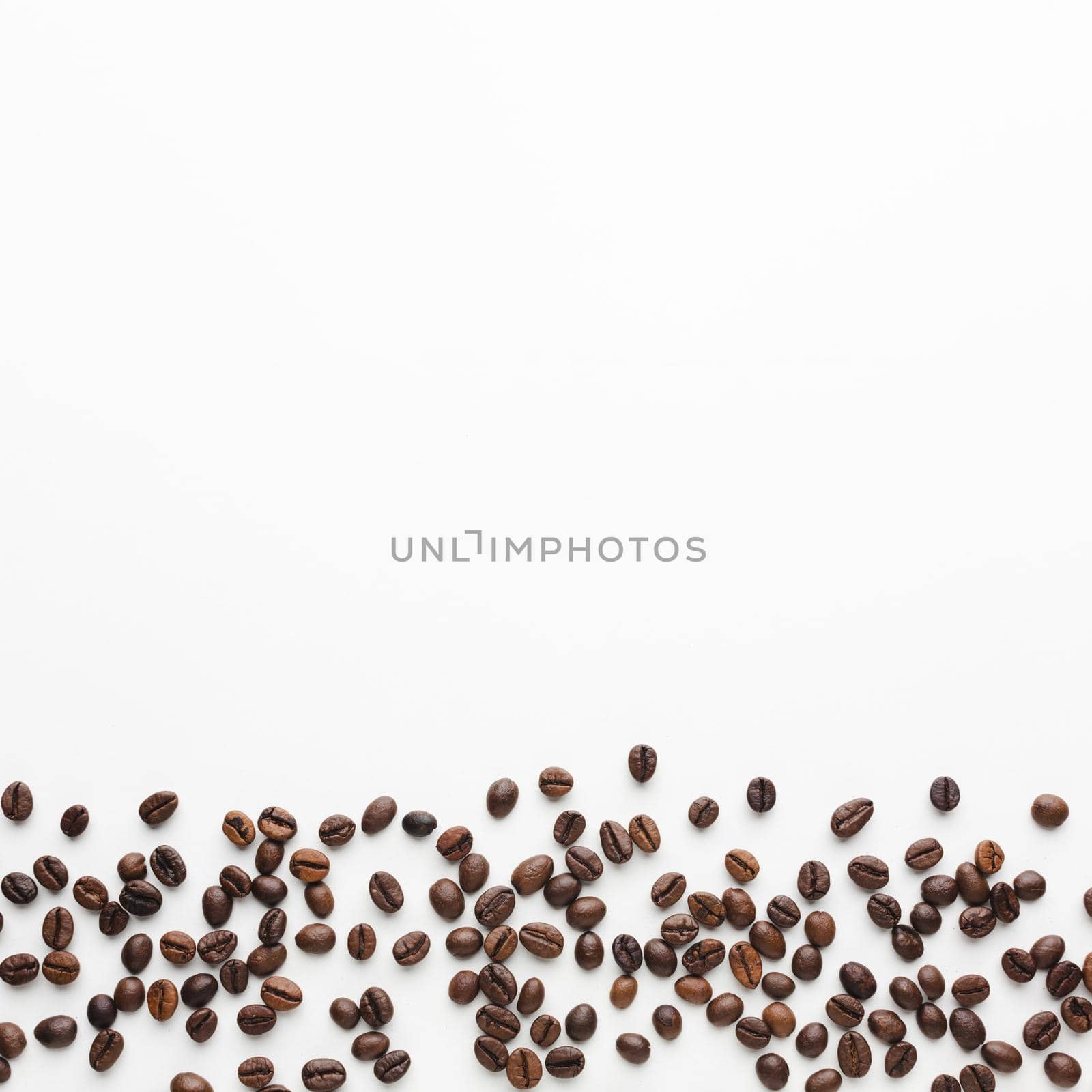 fresh roasted coffee beans with copy space. Resolution and high quality beautiful photo